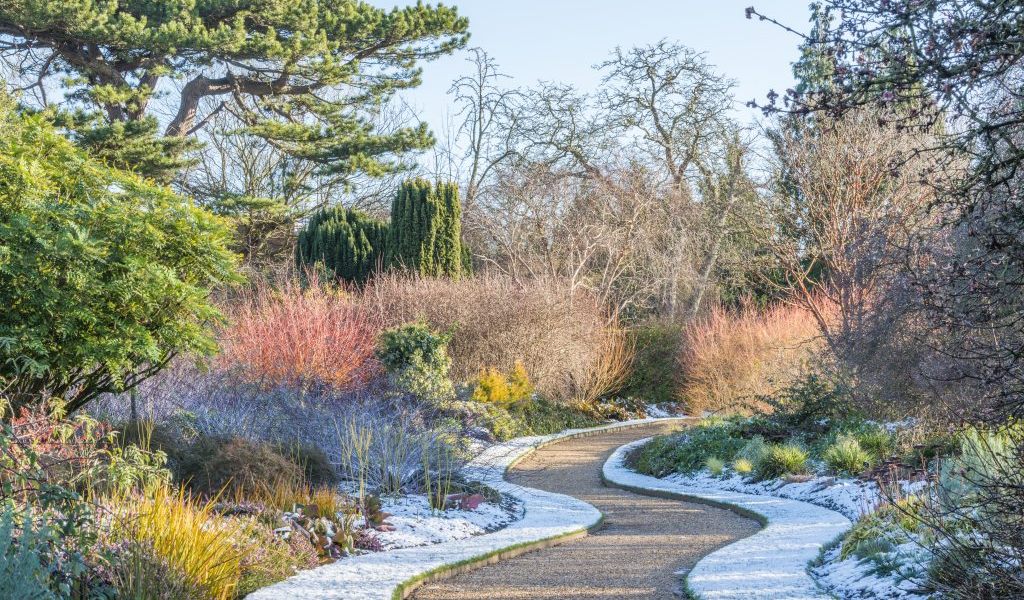 Cambridge University Botanic Garden Winter Garden