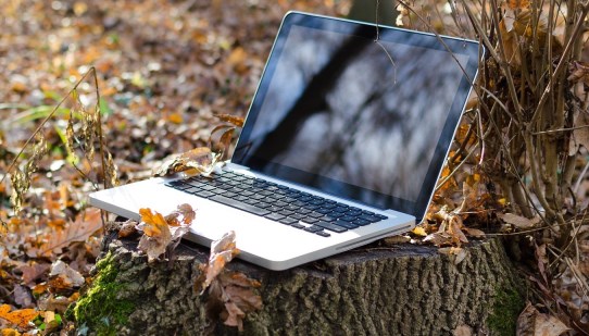 Laptop on a tree stump