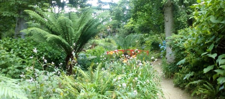 Venue - Abbotsbury Sub Tropic Gardens