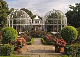 Two gardeners working in a rose bed