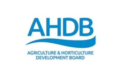 AHDB launches horticulture and potatoes website for growers