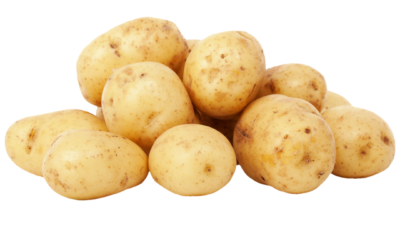 ‘GB Potatoes’ – a proposal to fill the void left by AHDB