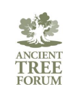 Ancient Tree Forum and the Arboricultural Association to receive £367,770 from the Trees Call to Action Fund