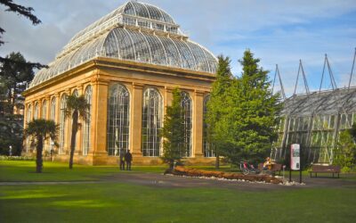 The Chartered Institute of Horticulture Conference is back for 2022