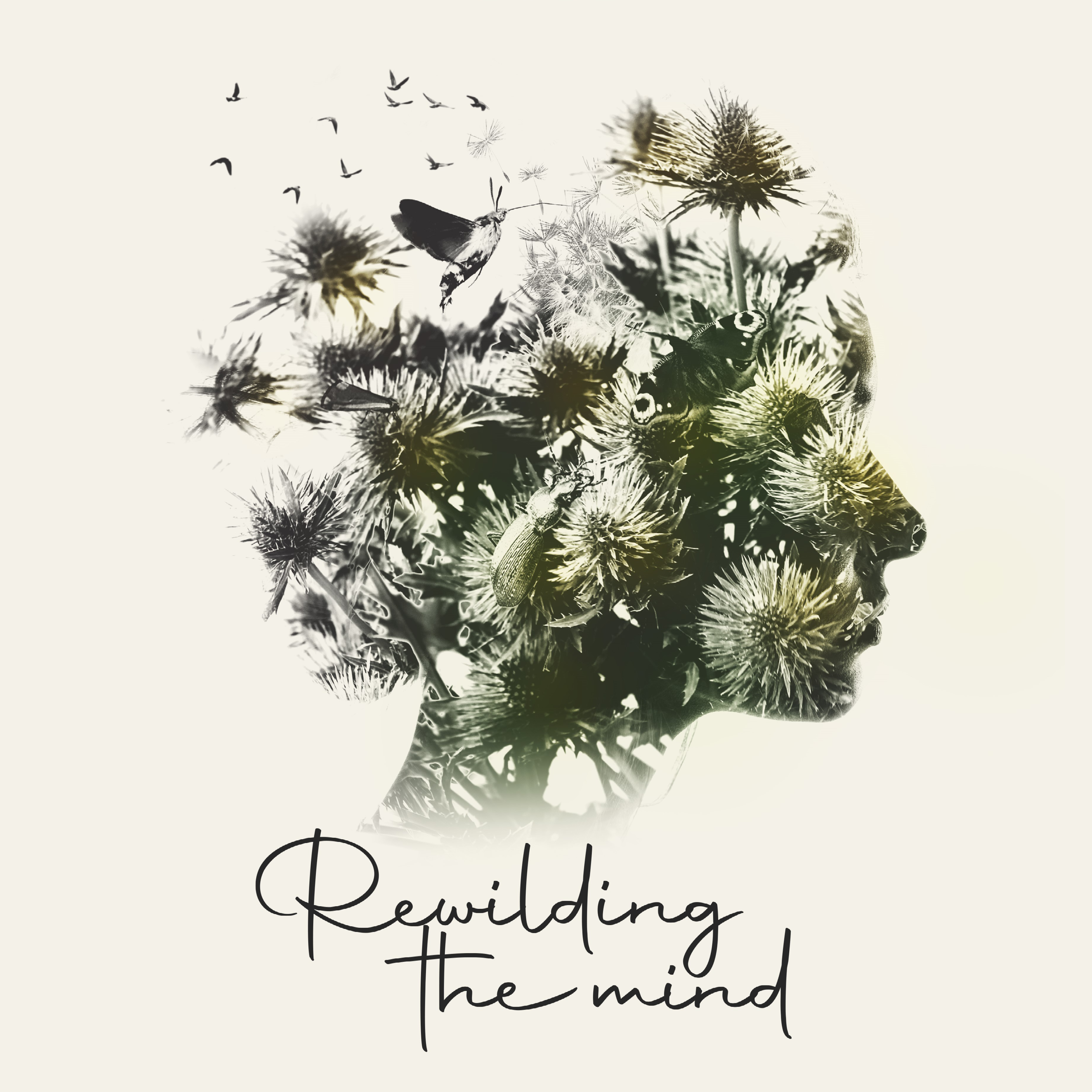 Beth Chatto Symposium – Rewilding the Mind