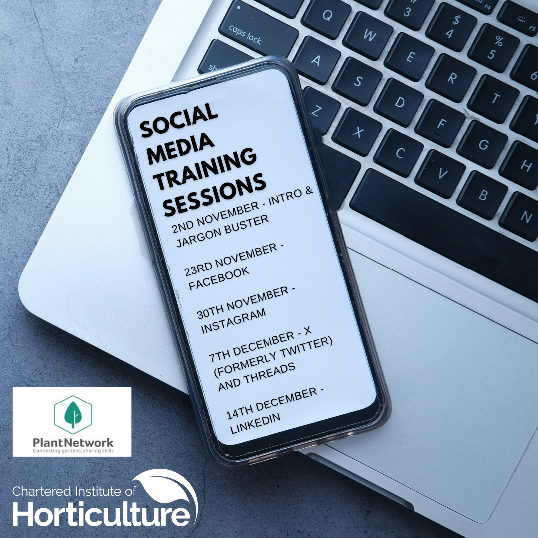 Social Media Webinar Series - Session 4: Getting the Thread: Becoming ‘X’perts in social media strategy