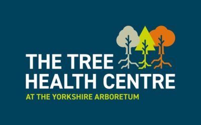 Yorkshire Arboretum Launches Virtual Reality Experience