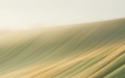 UK Government invests more than £45 million in ground-breaking technologies to boost Britain’s food security