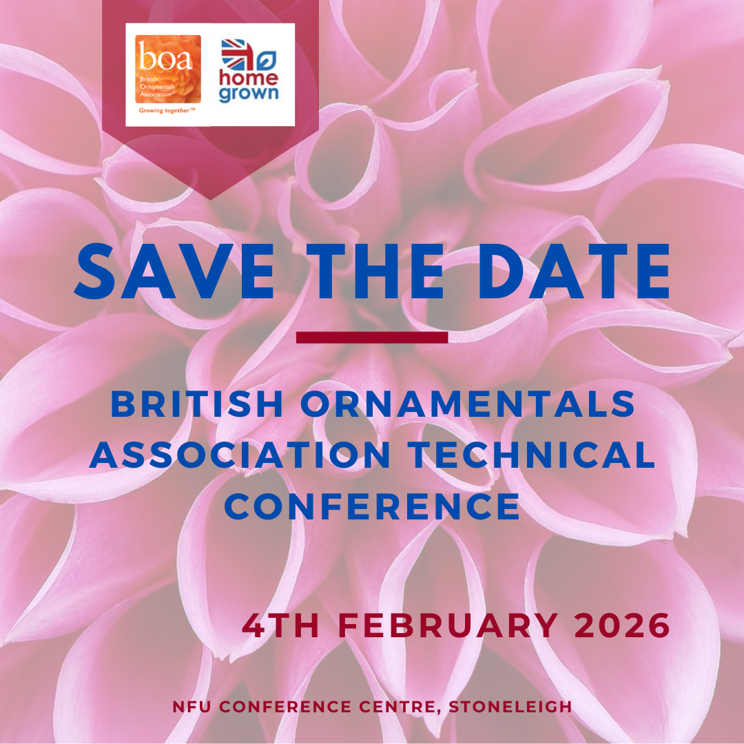 BOA Technical Conference 2026