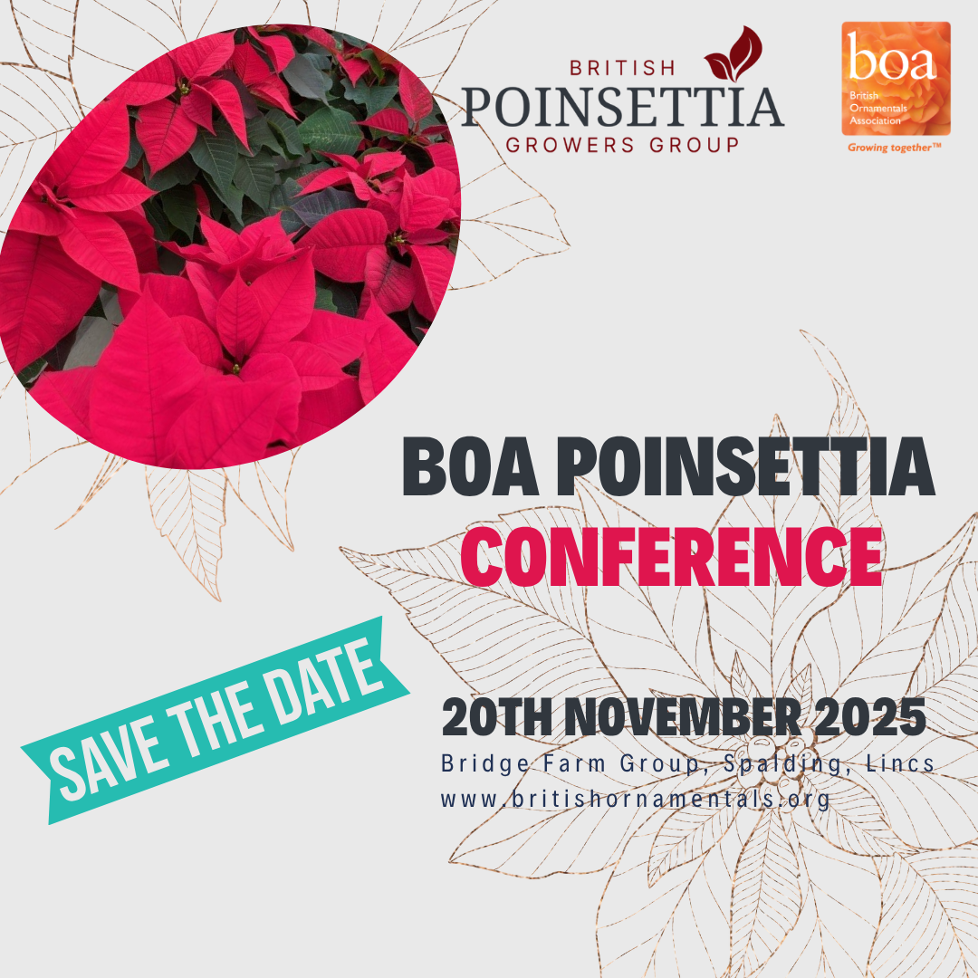 BOA Poinsettia Conference 2025