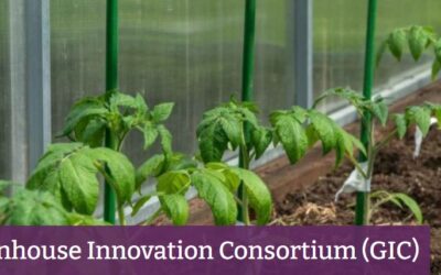 The Greenhouse Innovation Consortium (GIC) – consultation on the future of protected edible production