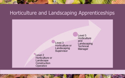 Have Your Say on the Future of Horticulture and Landscape Apprenticeships